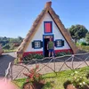 Tomas Purkert